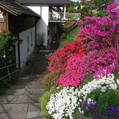 Hotel Garni Schilli Wolfach Kültér fotó