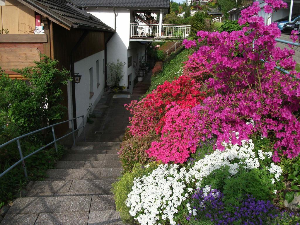 Hotel Garni Schilli Wolfach Kültér fotó